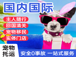 晋江航空快运国际宠物托运 【国